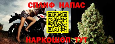 шишки Аргун