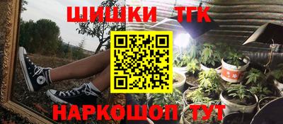 шишки Аргун