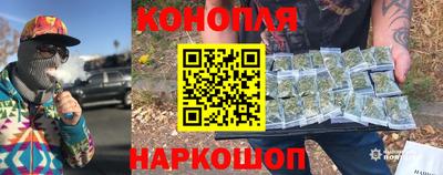 шишки Аргун