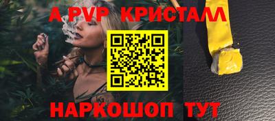 шишки Аргун