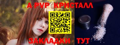 шишки Аргун