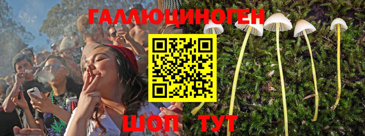 Псилоцибиновые грибы MAGIC MUSHROOMS Брянск