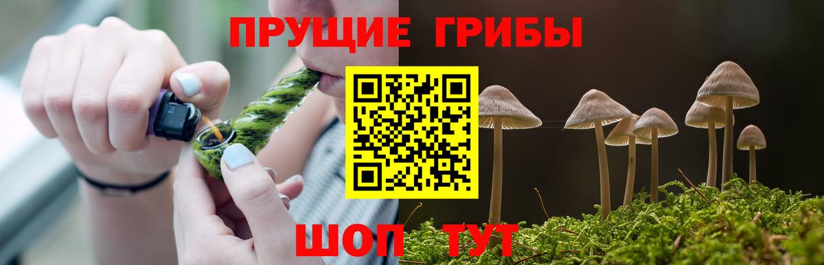Брянск  Псилоцибиновые грибы MAGIC MUSHROOMS  Псилоцибиновые грибы Magic Shrooms  как найти закладки  Вход с VPN 